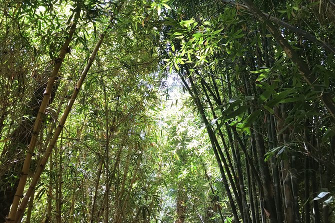 Exploring the Treasures of Marrakech With a Local Expert - Souvenir Shopping in the Souks