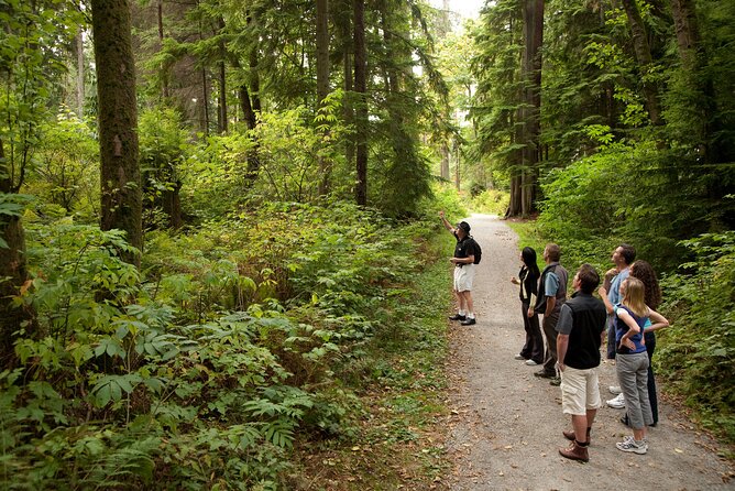 Exploring Vancouver: Includes Admission to Vancouver Lookout - Pickup Details