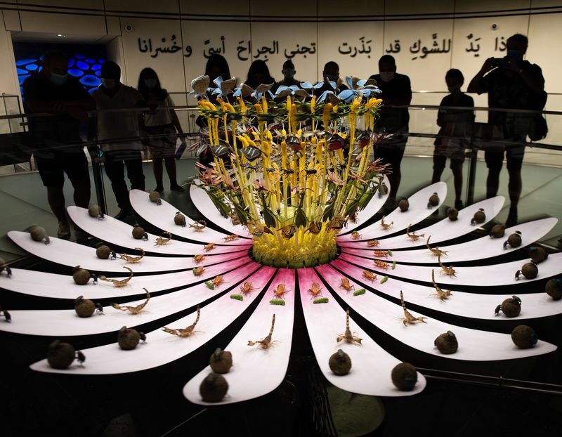 Expo City Dubai Attraction Pass - Is the Pass Worth About $35.95?