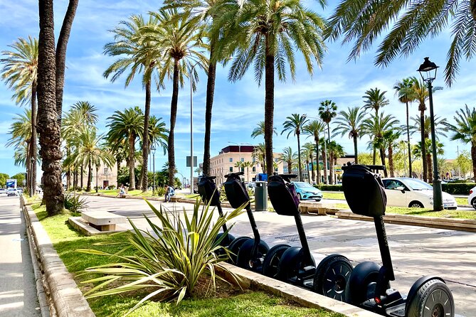 Express 1 Hour Segway Tour - Safety and Requirements