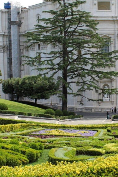 Express Sistine Chapel Pvt Tour - Tips for a Memorable Visit