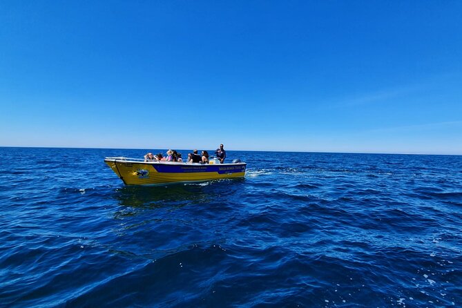 Express Tour - Benagil Cave - Cancellation Policy