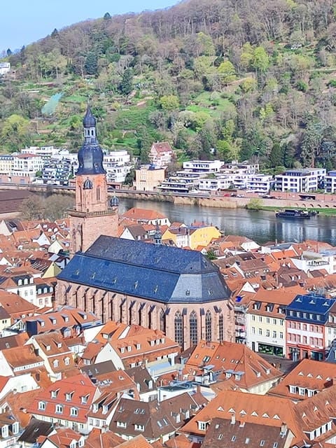 EXPRESS TOUR of Historic Heidelberg - The Highlights in 1 h - Who Should Consider This Tour?