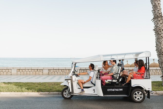 Express Tour of Malaga in Private Eco Tuk Tuk - Tour Overview