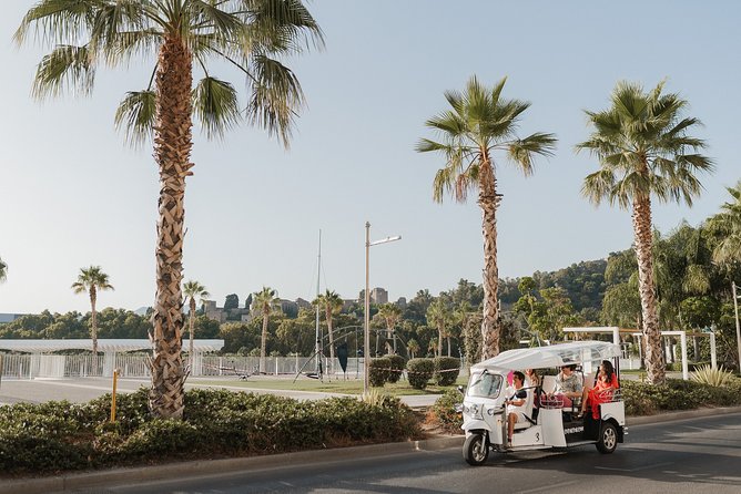 Express Tour of Malaga in Private Eco Tuk Tuk - The Sum Up