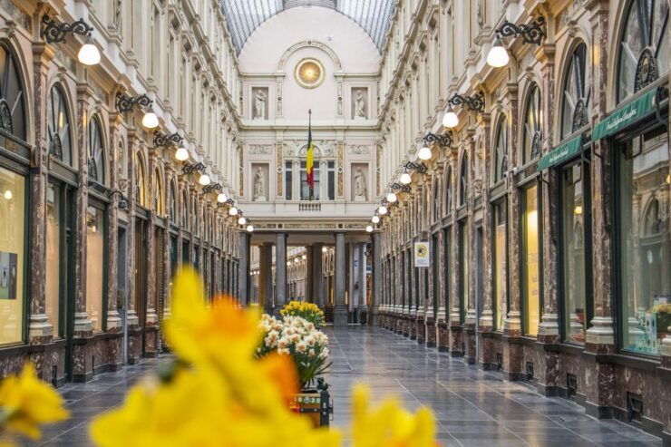 Express Walk of Brussels With a Local - Experience Highlights