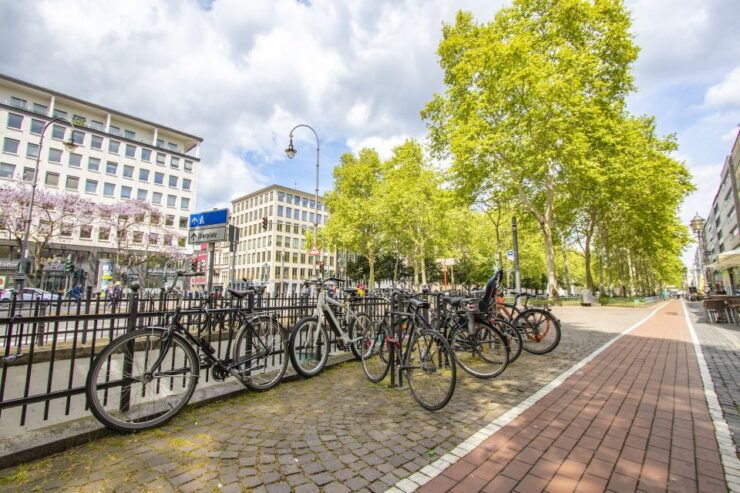 Express Walk of Cologne With a Local - Experience Highlights