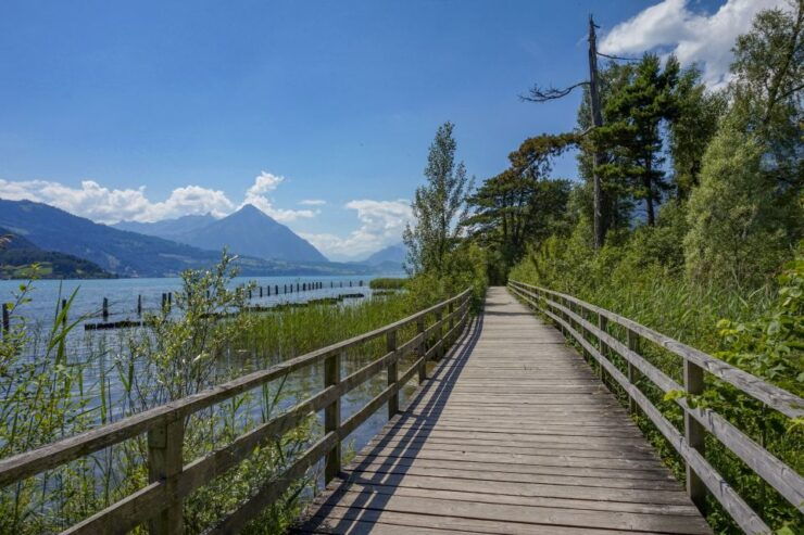 Express Walk of Interlaken With a Local - Uncover Hidden Gems With a Local