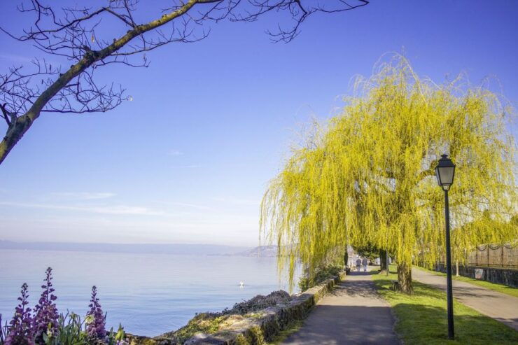 Express Walk of Montreux With a Local - Experience Highlights