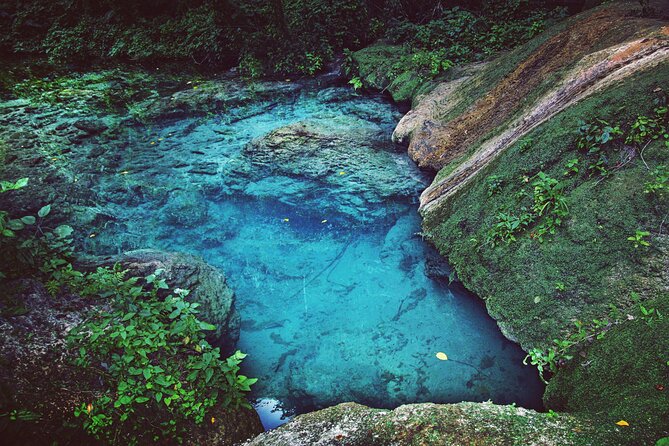 Exquisite Krabi Wilderness Experience With Gourmet Jungle Feast - Unforgettable Krabi Jungle Trek