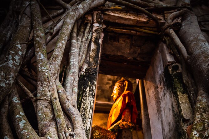 Exquisite Krabi Wilderness Experience With Gourmet Jungle Feast - Indulge in Gourmet Wilderness Delights