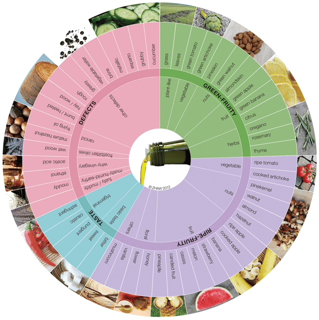 Extra Virgin Olive Oil Experience With Wine & Herbs - Olive Oil Education