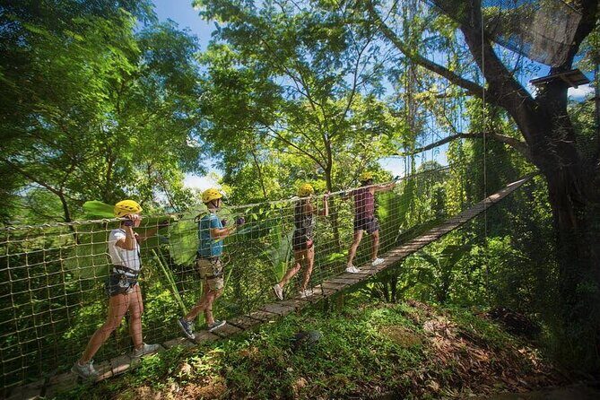 Extreme 35 Platforms Jungle Zipline Adventure Park - Who Will Love This Experience?