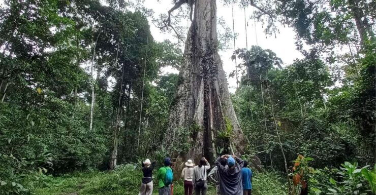 Extreme Adventure and Expedition - 3 Days and 2 Nights - Itinerary for Extreme Adventure
