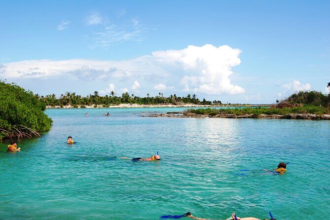 Extreme Day. Rappel, Ziplines & Snorkel with from Riviera Maya - Who Should Consider This Tour?