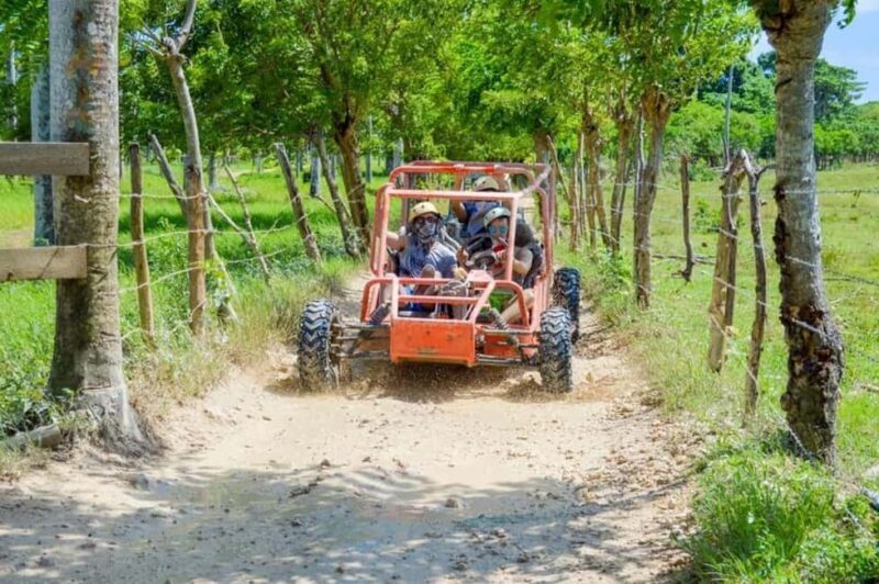 Extreme Dune Buggy Adventure in Macao Beach & Cenote - The Sum Up