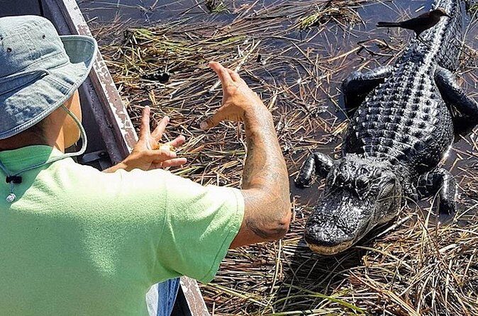 Extreme Everglades: Crocodiles and Adventure from Miami - Practical Tips and Considerations