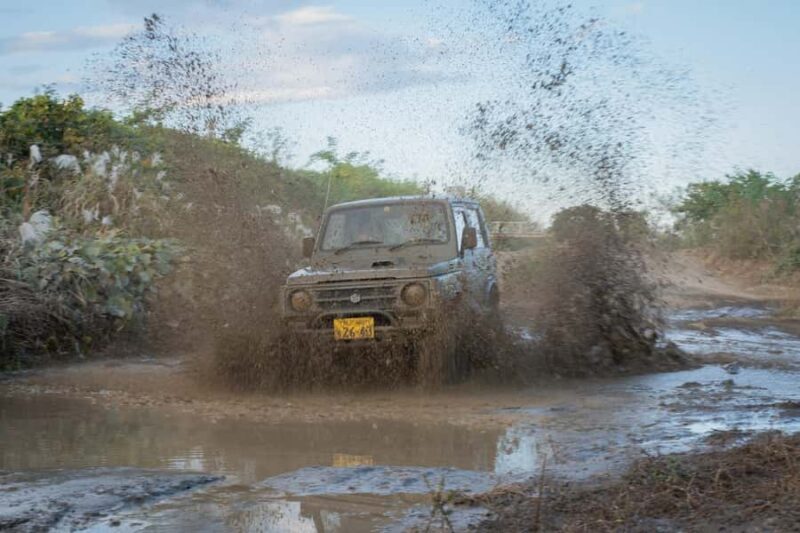 Extreme Jimny Off-Road Ride: Dirt, Forest & Rock near Tokyo - Good To Know  