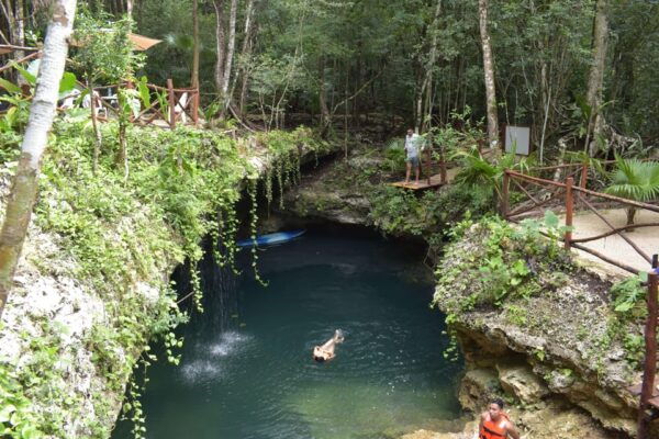 Extreme Jungle Cenotes and Snorkeling at Puerto Morelos Reef - Guided Exploration and Activities