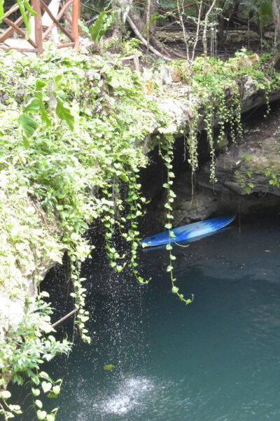 Extreme Jungle Cenotes and Snorkeling at Puerto Morelos Reef - Frequently Asked Questions