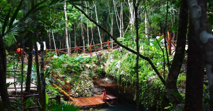 Extreme Jungle Cenotes and Snorkeling at Puerto Morelos Reef - Good To Know