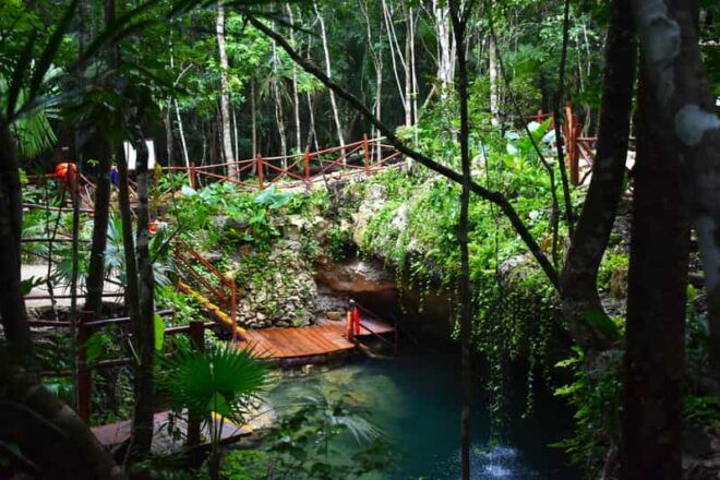Extreme Jungle Cenotes and Snorkeling at Puerto Morelos Reef - Pickup and Drop-off Locations