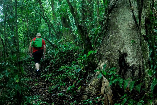 Extreme Nature Hike Fortuna to Monteverde - Tour Overview