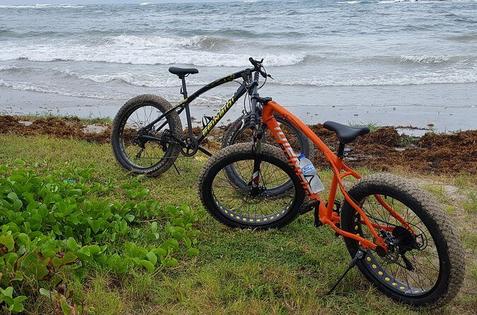 Extreme Outback Tour in St Lucia - The Bottom Line