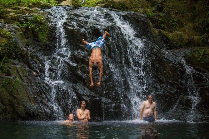 Extreme Waterfall Rappelling at Bocawina Rainforest - Antelope Falls - Experience Overview