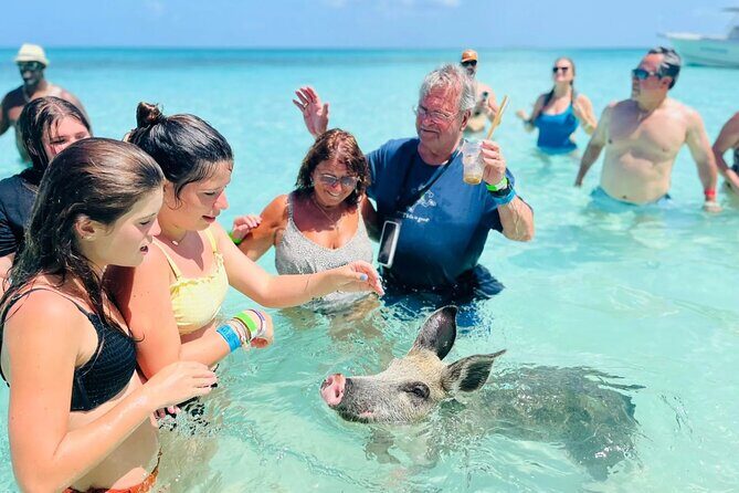 Exuma Day Away - Original Swimming Pigs Excursion - Good To Know