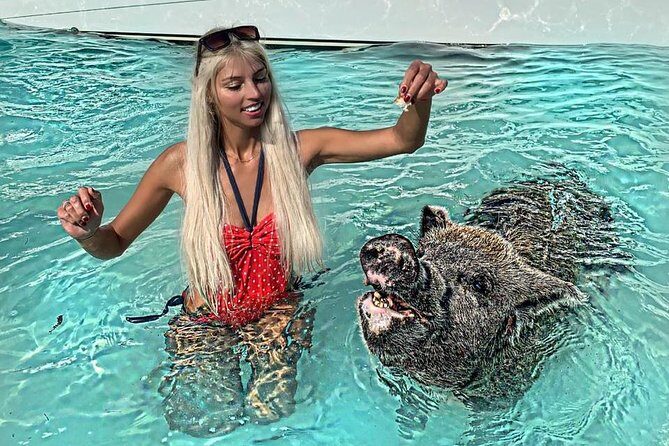 Exuma Day Away - Original Swimming Pigs Excursion - Itinerary Breakdown: What to Expect for Your Day