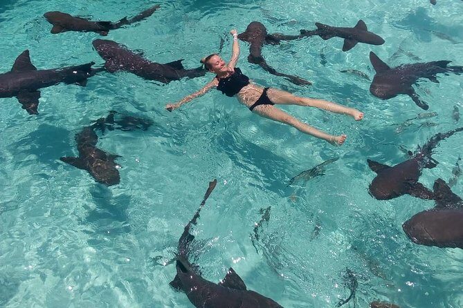 Exuma Day Away - Original Swimming Pigs Excursion - The Experience: Pros and Cons