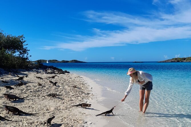 Exuma Island Hopping & Swimming Pigs Tour With Lunch From Nassau - Swimming With the Famous Pigs