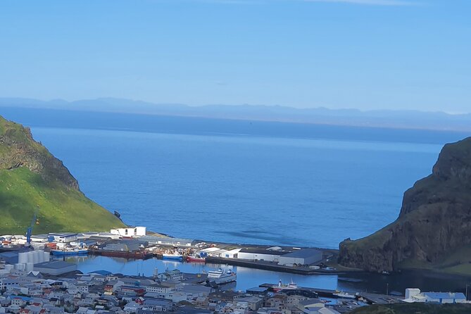 Eyjascooter Puffin Tour in Iceland - Traveler Photos