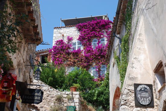Eze, Monaco and Monte Carlo Half Day Tour from Nice - Key points before you book