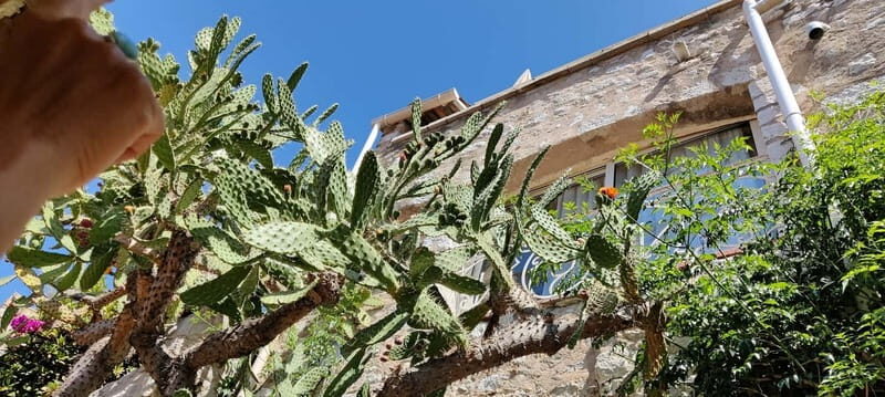 Èze: Walking Tour with a Certified Local Guide - Final Thoughts: Who Will Love This Tour?