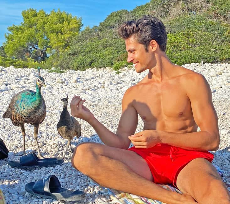 Faana: Brijuni Islands Lunch tour with Peacock Island Visit - Discovering the Brijuni Archipelago