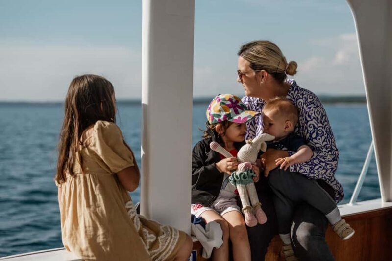 FAANA: DOLPHIN SAFARI - The Sum Up