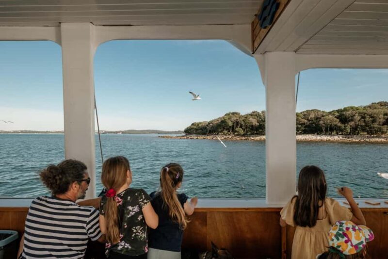 FAANA: DOLPHIN SAFARI - Frequently Asked Questions