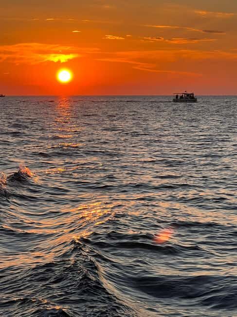 Faana: Dolphin & Sunset - Faana: Dolphin & Sunset – A Scenic Boat Trip in Istria