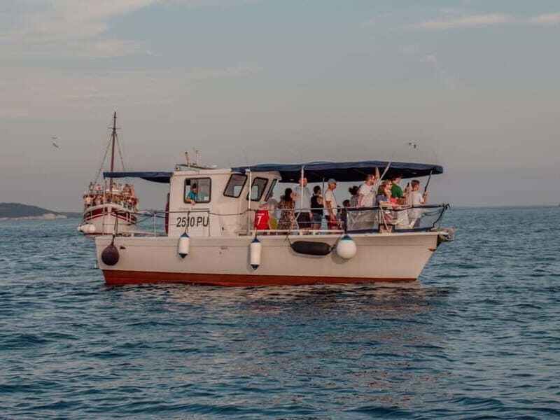 Faana: Dolphin & Sunset - Good To Know