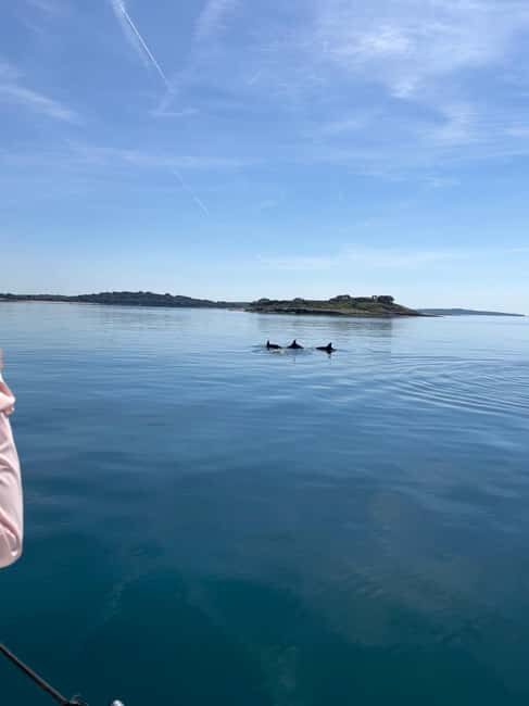 Faana: Dolphin & Sunset - Authentic Insights from Travelers