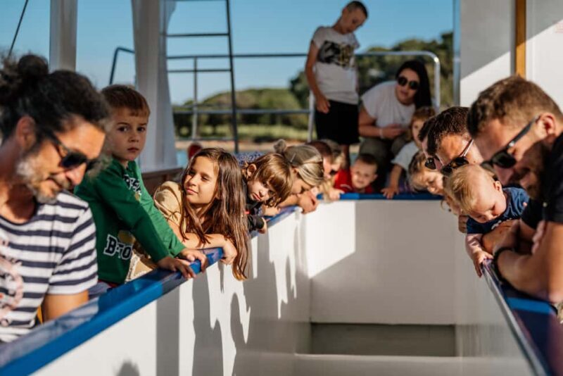 Faana: Glass Boat Tour of Brijuni National Park - The Experience and Its Highlights