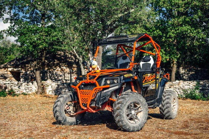 Faana: Guided Buggy Tour in the Heart of Istria - Exploring the Details of the Buggy Tour
