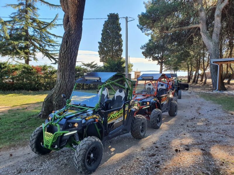 Faana: Guided Buggy Tour in the Heart of Istria - FAQ