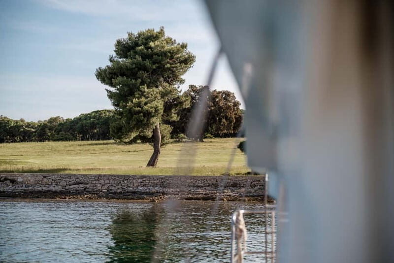 FAANA: PANORAMA NP BRIJUNI AND ISLAND SWIMMING STOP - The Experience from Reviews