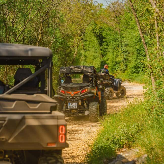 Faana/Pula: Guided 2-Hour Istrian Escape Buggy Tour - Who Should Consider This Tour?
