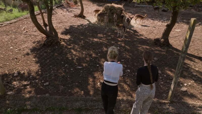 Faana/Pula: Official Istra Buggy "Classico" Tour - FAQ