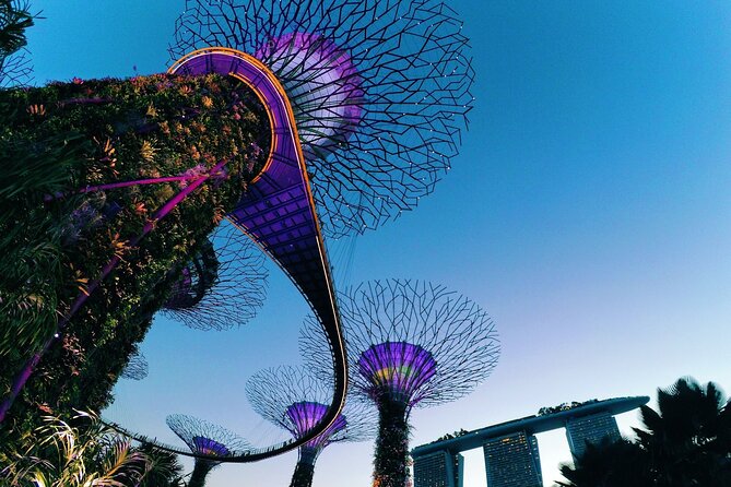 Fabulous Night-Out in Singapore - Cultural Performances and Shows to Attend