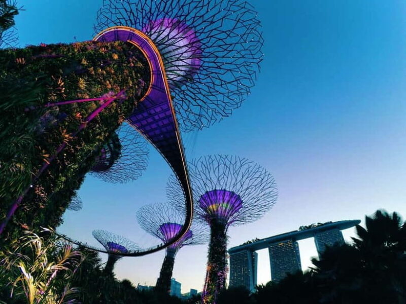 Fabulous Night-out Private Tour in Singapore - Discover Singapore’s Nightlife with a Private Tour